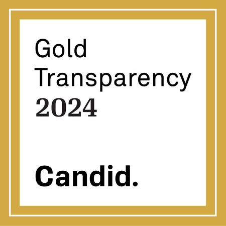 Gold transparency 2024